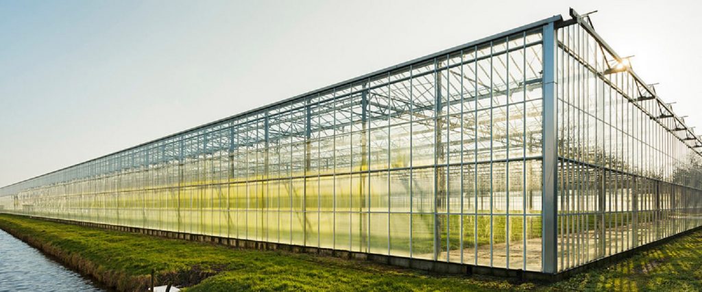 Durable humidifiers designed for relative humidity management in Gauteng